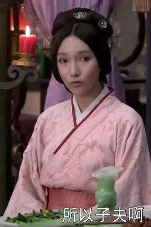 皇后卫子夫之长姐：卫君孺的生平