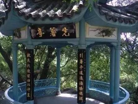 陈振农为什么要冒死带番薯藤回国