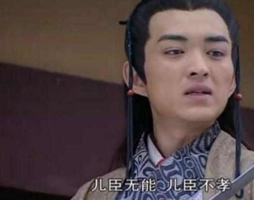 卫子夫之子太子刘据是个怎么样的人