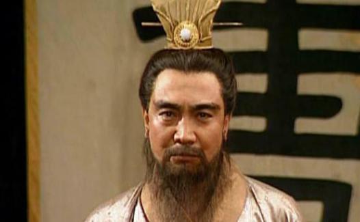 诸葛瑾为什么会离乡