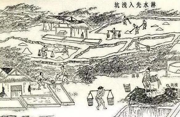 在古代盐为什么不能私自贩卖