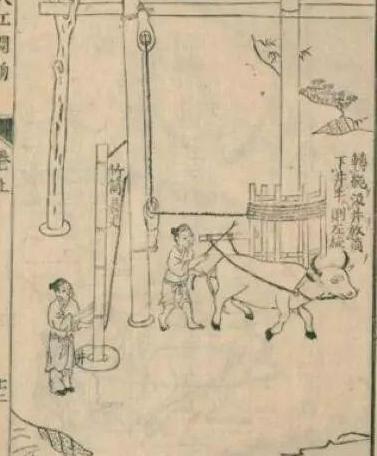 在古代盐为什么不能私自贩卖