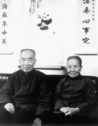 冰心为什么会爱上吴文藻