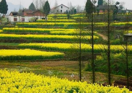 陕西为什么会被称为三秦大地呢 这个说法是从何而来的