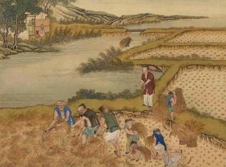探索唐朝土地制度,当时的土地制度是如何发展的