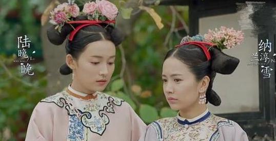 庆恭皇贵妃为什么会抚养嘉庆