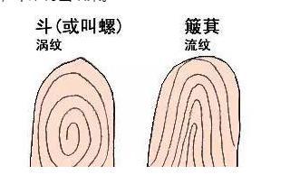 古代为什么需要画押按手印,古人靠什么来识别指纹呢