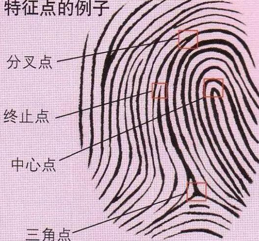 古代为什么需要画押按手印,古人靠什么来识别指纹呢