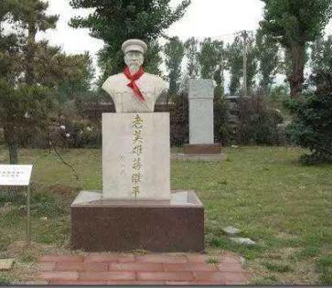 蒋维平的生平如何