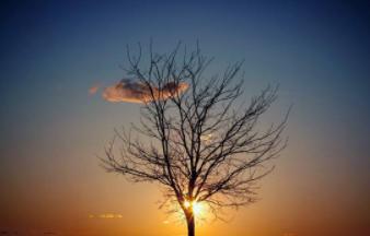 为什么说辛弃疾是“妻管严”