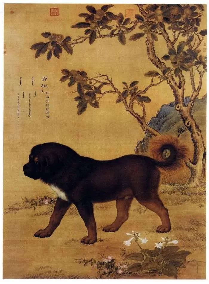 满族人真的不吃狗肉吗?为什么?