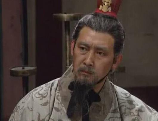 魏国动荡大将主动投降,姜维北伐明明取得了胜利,为什么突然撤退