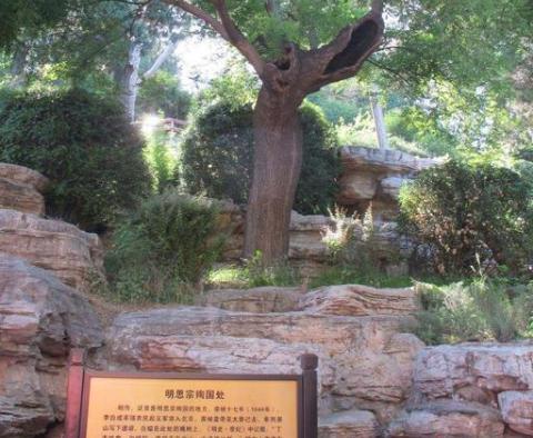 朱元璋为什么对官员心狠手辣