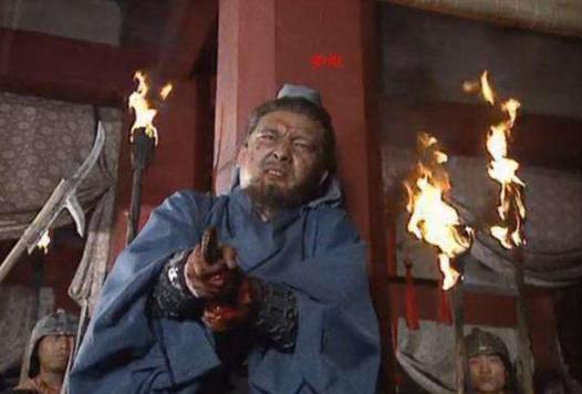 姜维为什么会投降于钟会