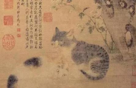 猫是怎么一步步变成宠物的