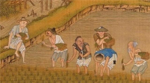 唐朝的农业发展状况是怎样的