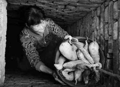 古代没有冰箱是怎么储存食物的 除了地窖还有那些