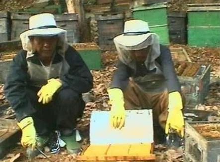 鲍有祥继承坤沙的位置之后为什么毒品交易不减反增呢