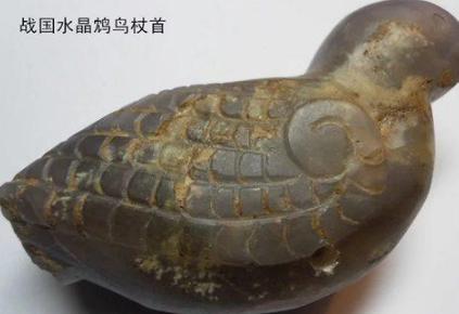古代“饮鸩止渴”中的“鸩毒”是怎么来的