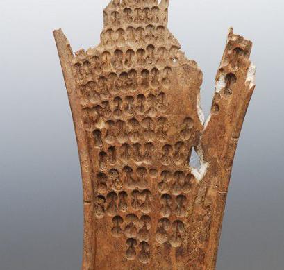 邓国是怎么建立的