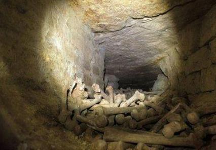 古代盗墓贼只要是坟墓都不会放过 为什么有坟头有柳一定溜的说法呢