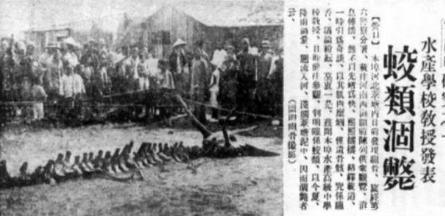 十二生肖中其他动物都有真实的原型 为什么唯独龙没有呢