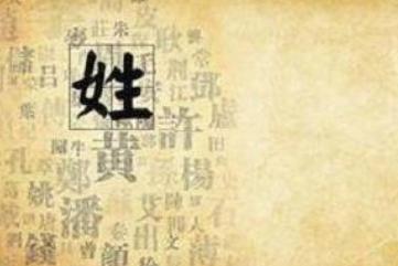 为什么除了南北朝时期的陈朝,历史上再没有以姓氏为国号的国家了?
