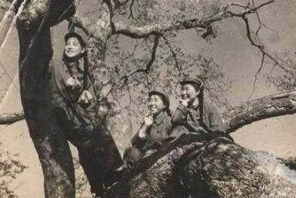 平凡又传奇的人生:杨玉华的晚年生活如何
