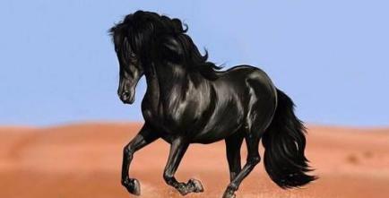 揭秘唐朝军队为什么那么强 看看这三件利器就知道了