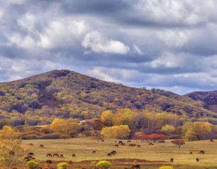 揭秘清朝狩猎场究竟是什么样的 这个地方到底在哪里