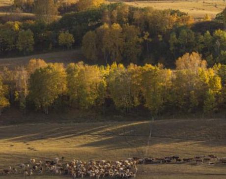 揭秘清朝狩猎场究竟是什么样的 这个地方到底在哪里