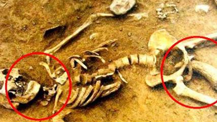 为什么外国人不承认中国有5000年的历史