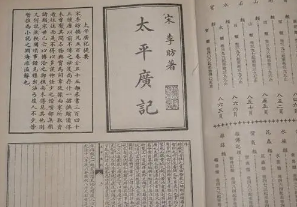 太平广记·卷七十五·道术·张辞原文是什么内容?如何翻译?</span>