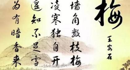 王安石的妻子是怎么的来的 他和吴氏是怎么相遇的