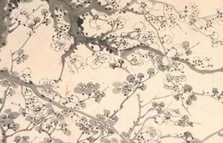 为什么说汪士慎的前半世是个谜？</span>
                      