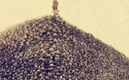 古代两军交战之后 古人是怎么处理俘虏的呢