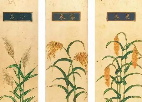 古代战场一般都是怎么解决吃饭问题的 军粮一般吃什么