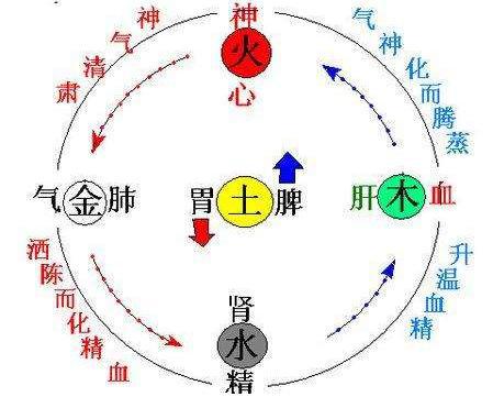 黄元御有着怎样的医学成就