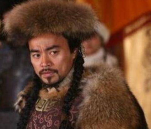 靖康之耻后，南宋是怎么报仇的？</span>
                      