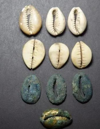 古代贝壳能够当钱 古人为什么不去多捡一点</span>
                      