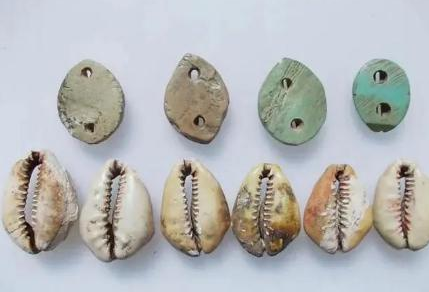 古代贝壳能够当钱 古人为什么不去多捡一点</span>
                      
