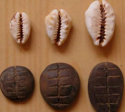 古代贝壳能够当钱 古人为什么不去多捡一点</span>
                      