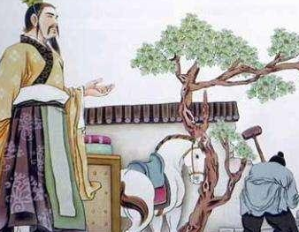我国历史上的贵族政治是什么样的？是如何发展的？</span>
                      
