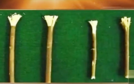 古人是如何清理口腔的?他们刷牙吗?</span>