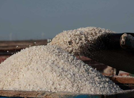 古代穷人买不起盐烧菜 古人做菜还用什么