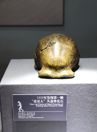 北京人:五十万年前人类的祖先