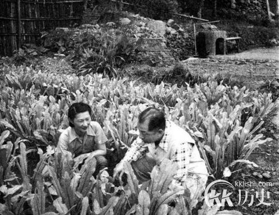 张学良台湾幽禁照片曝光 记录张学良台湾生活细节
