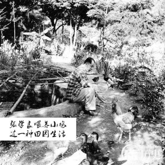 张学良台湾幽禁照片曝光 记录张学良台湾生活细节