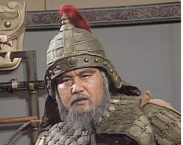 三国时期姜维是个什么样的人