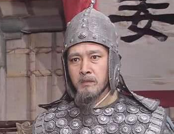 三国时期姜维发动了多少次北伐